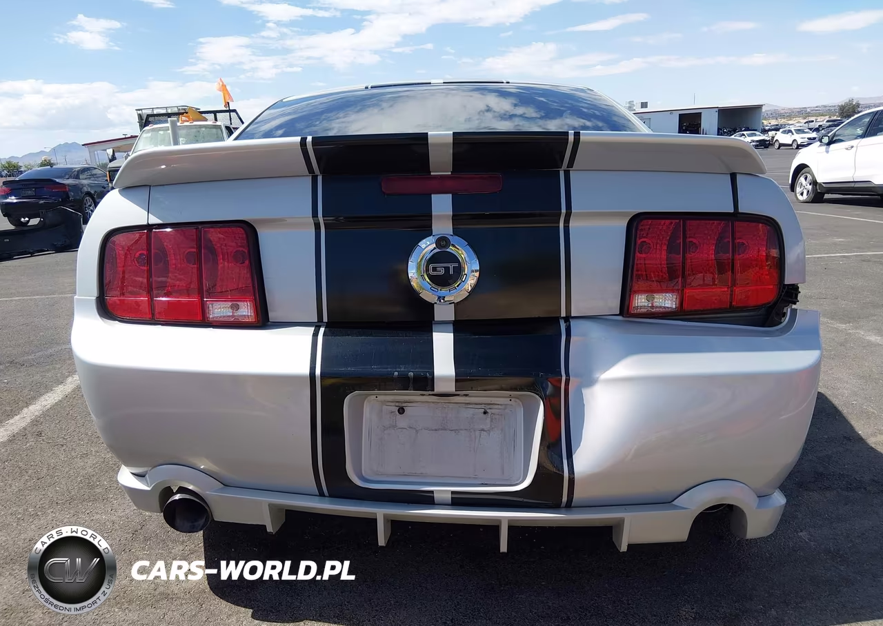 2006 Ford Mustang Gt VIN:1ZVHT82H365221919 - 17