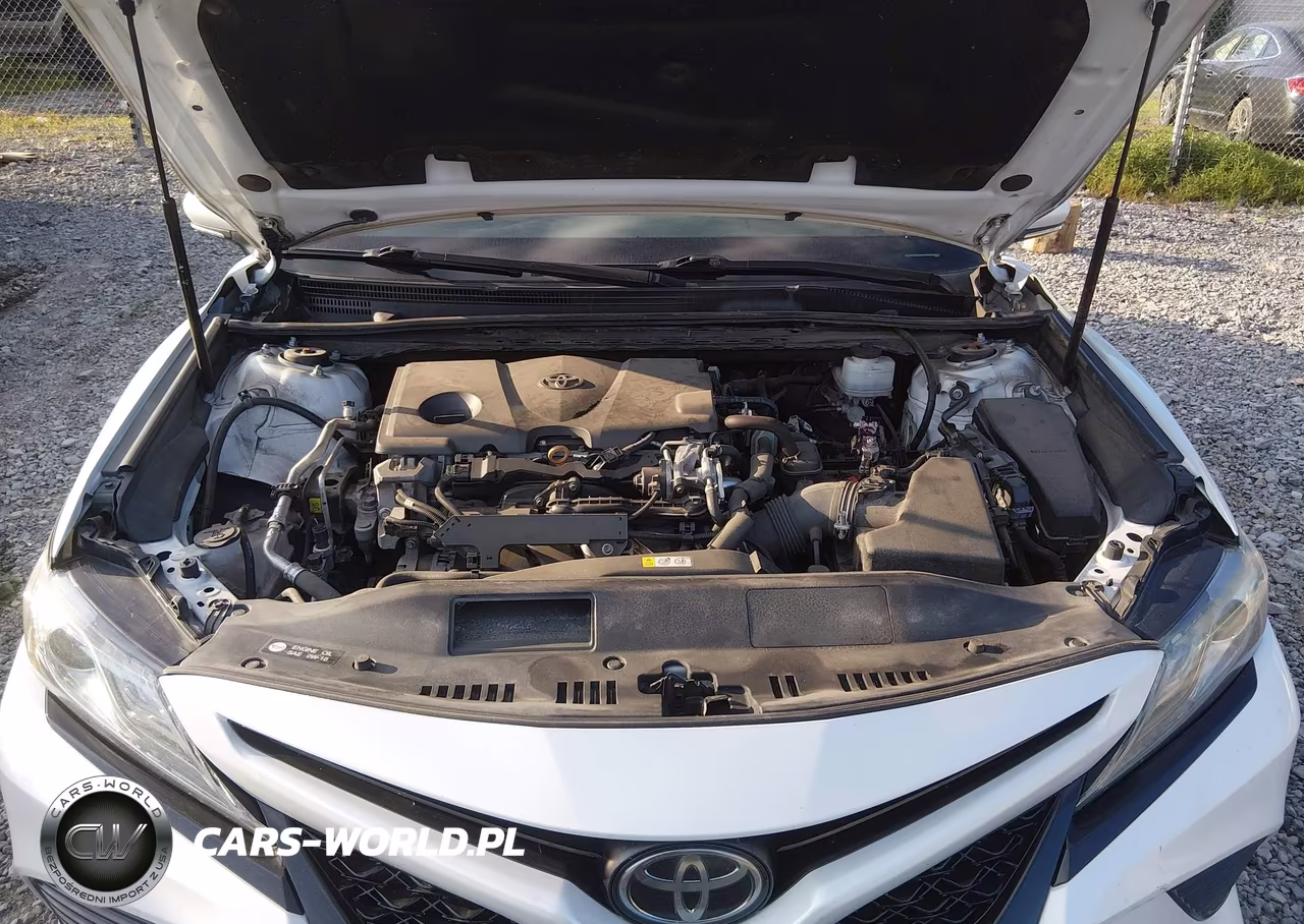 2019 Toyota Camry Xse VIN:4T1B61HK9KU833094 - 10