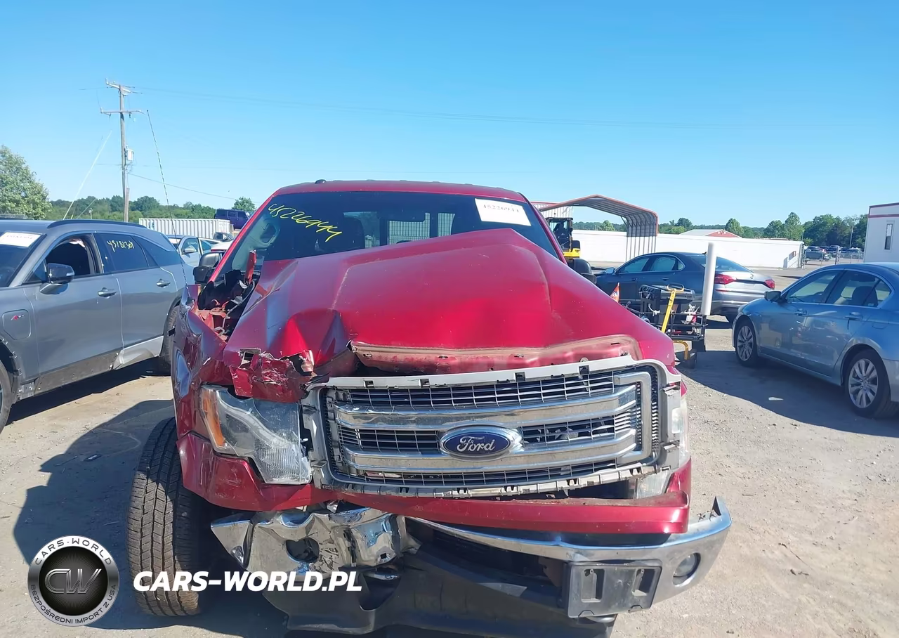 2013 Ford F-150 Xlt VIN:1FTFX1ET2DFE09814 - 12