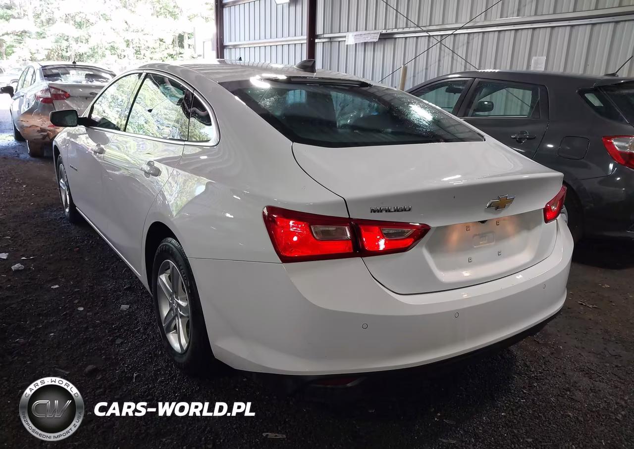 2023 Chevrolet Malibu Fwd 1Fl VIN:1G1ZC5ST4PF153600 - 3
