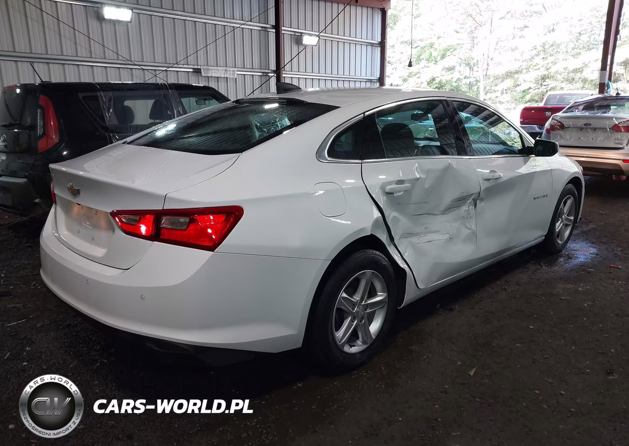 2023 Chevrolet Malibu Fwd 1Fl VIN:1G1ZC5ST4PF153600 - 4