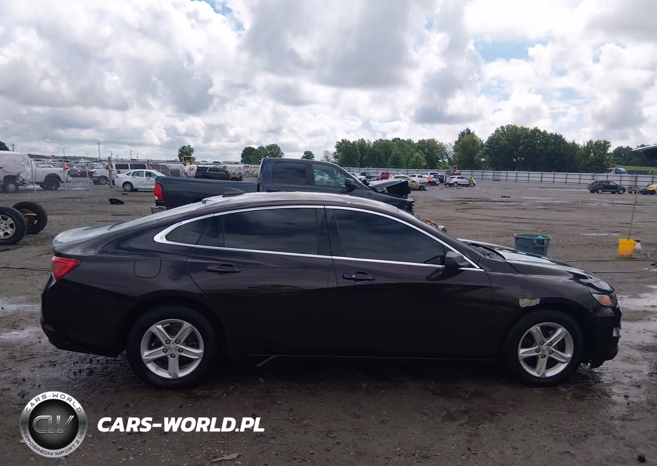 2020 Chevrolet Malibu Fwd Ls VIN:1G1ZB5ST4LF013995 - 13