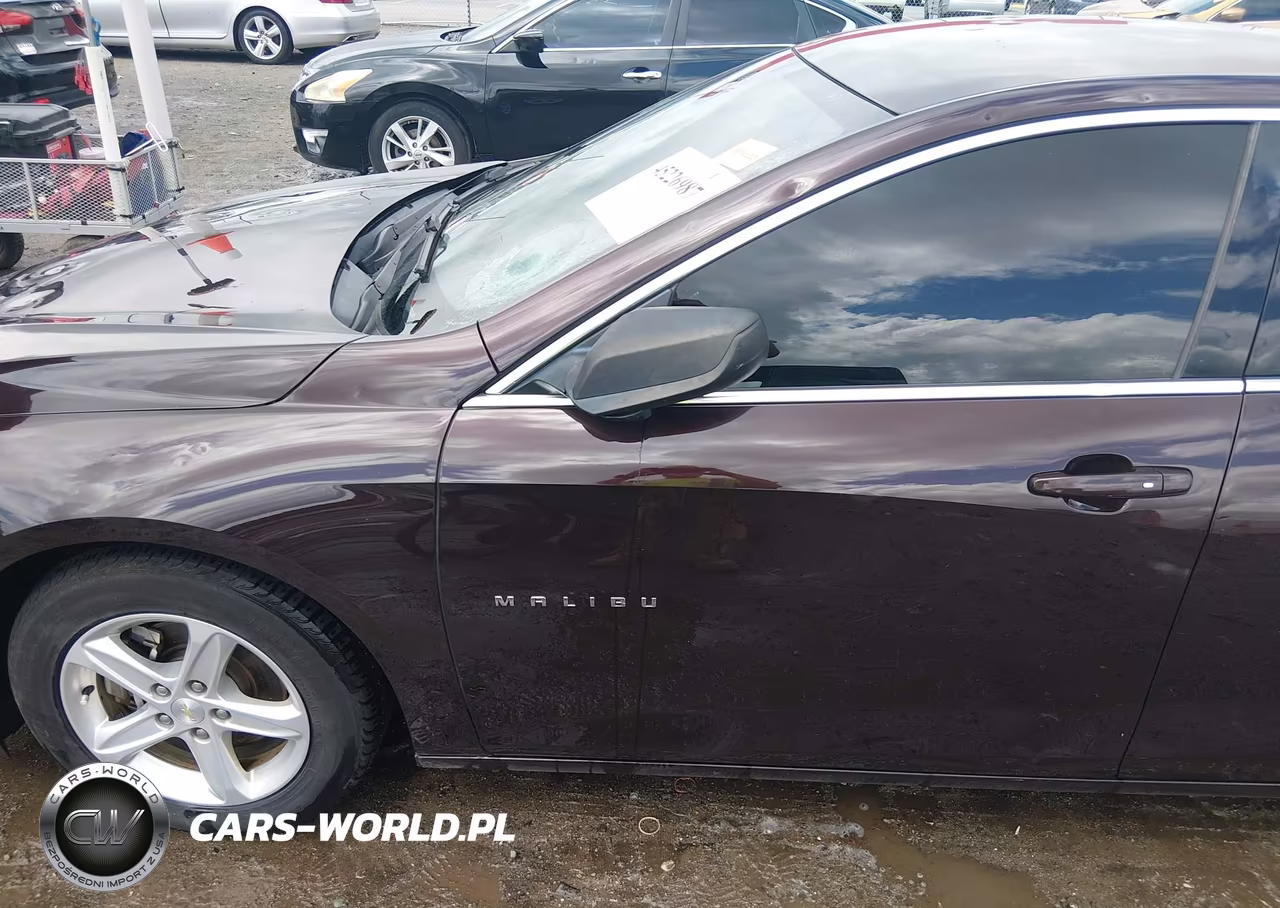 2020 Chevrolet Malibu Fwd Ls VIN:1G1ZB5ST4LF013995 - 19