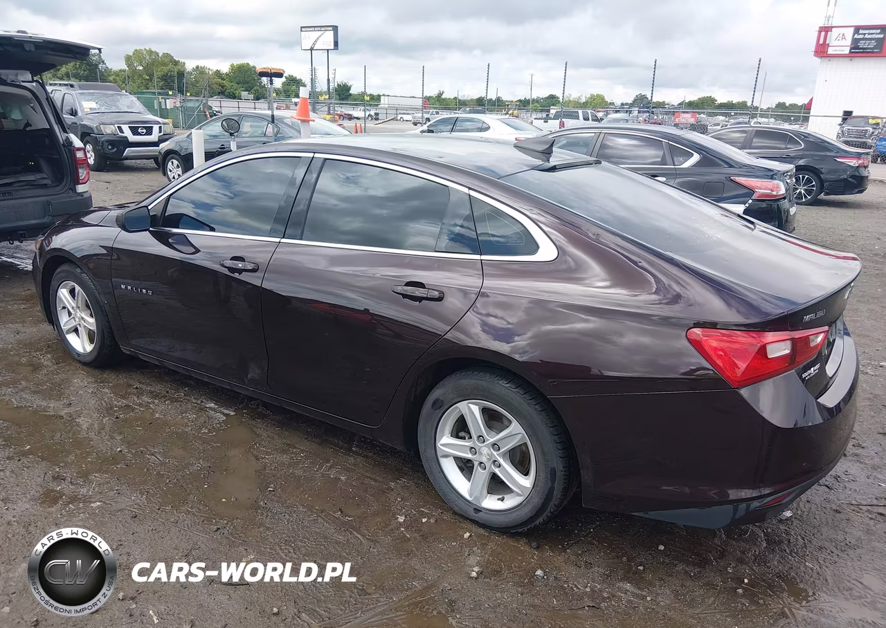 2020 Chevrolet Malibu Fwd Ls VIN:1G1ZB5ST4LF013995 - 3