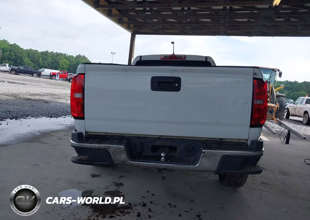2019 Chevrolet Colorado Wt VIN:1GCHSBEA6K1325744 - 16