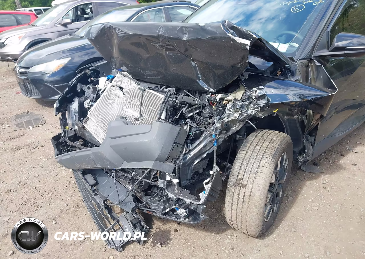 2025 Hyundai Santa Cruz Sel VIN:5NTJBDDE4SH133394 - 6