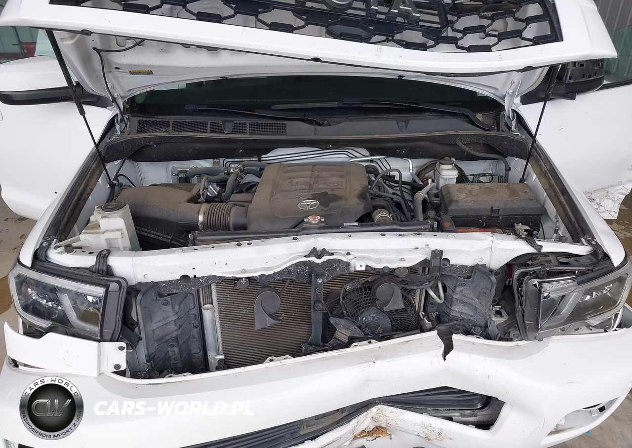 2021 Toyota Sequoia Trd Pro VIN:5TDEY5B12MS186161 - 10