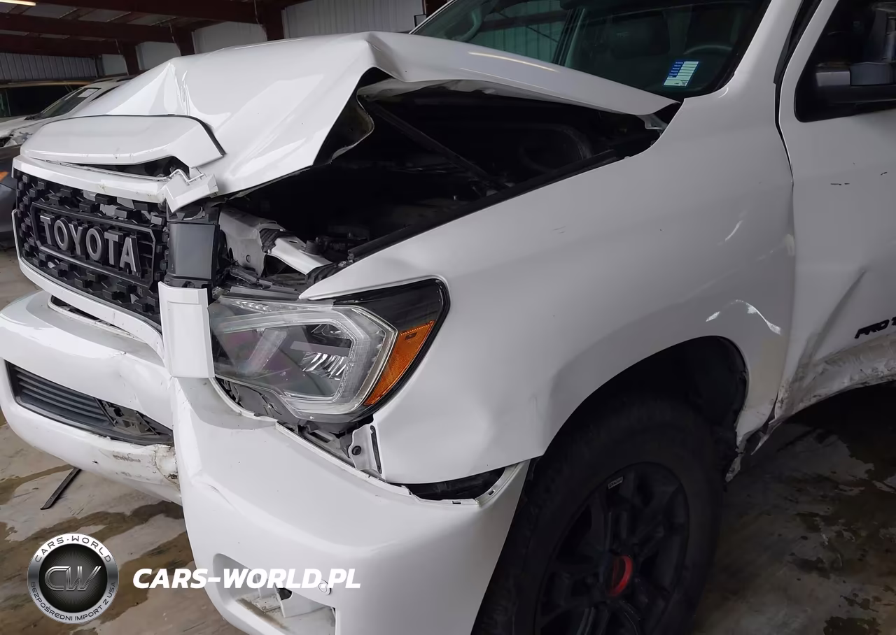 2021 Toyota Sequoia Trd Pro VIN:5TDEY5B12MS186161 - 19