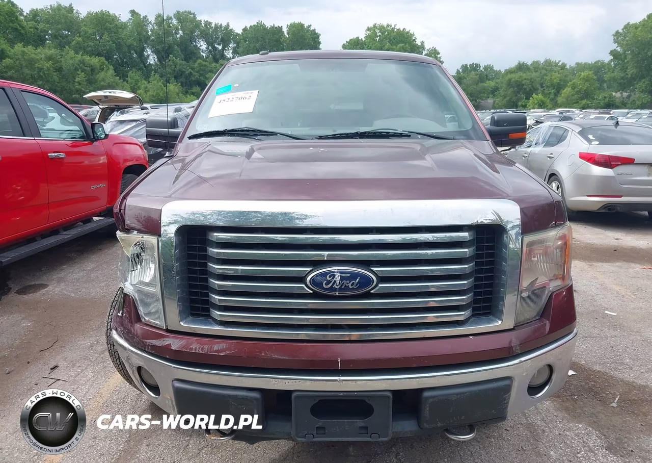 2010 Ford F-150 Fx4-Harley-Davidson-King Ranch-Lariat-Platinum-Xl-Xlt VIN:1FTFW1EV6AKE70560 - 12