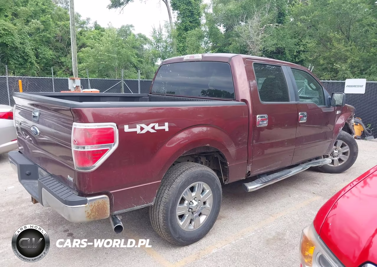 2010 Ford F-150 Fx4-Harley-Davidson-King Ranch-Lariat-Platinum-Xl-Xlt VIN:1FTFW1EV6AKE70560 - 13