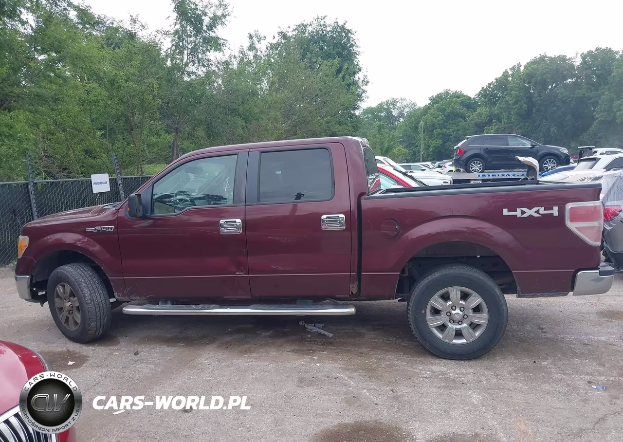 2010 Ford F-150 Fx4-Harley-Davidson-King Ranch-Lariat-Platinum-Xl-Xlt VIN:1FTFW1EV6AKE70560 - 14