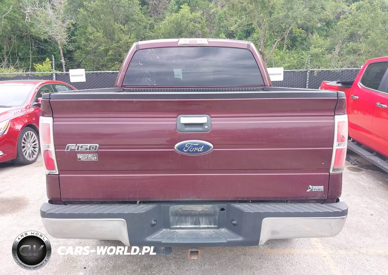2010 Ford F-150 Fx4-Harley-Davidson-King Ranch-Lariat-Platinum-Xl-Xlt VIN:1FTFW1EV6AKE70560 - 16