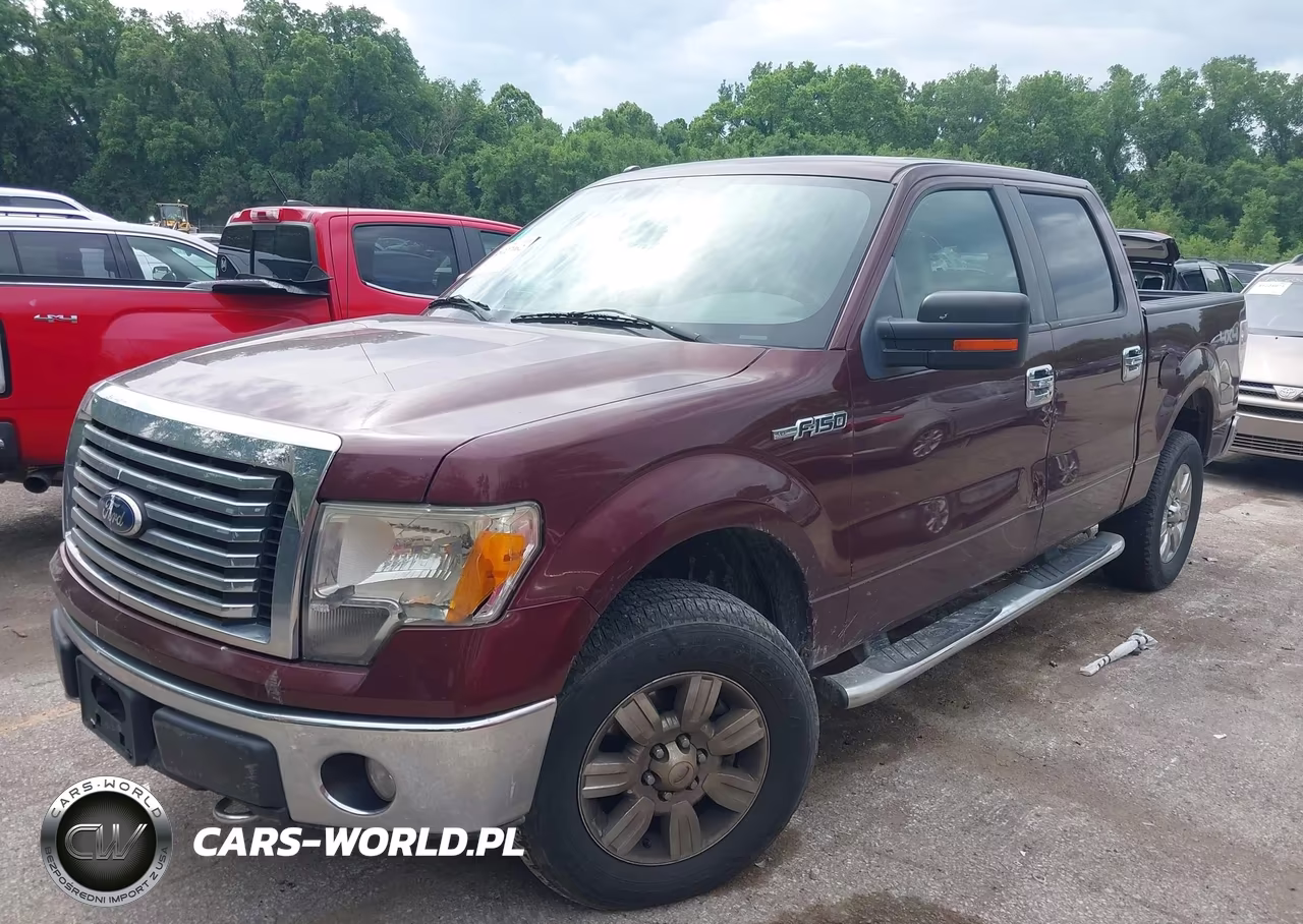 2010 Ford F-150 Fx4-Harley-Davidson-King Ranch-Lariat-Platinum-Xl-Xlt VIN:1FTFW1EV6AKE70560 - 2