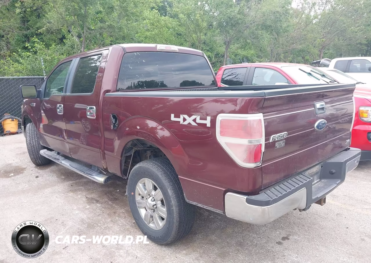 2010 Ford F-150 Fx4-Harley-Davidson-King Ranch-Lariat-Platinum-Xl-Xlt VIN:1FTFW1EV6AKE70560 - 3