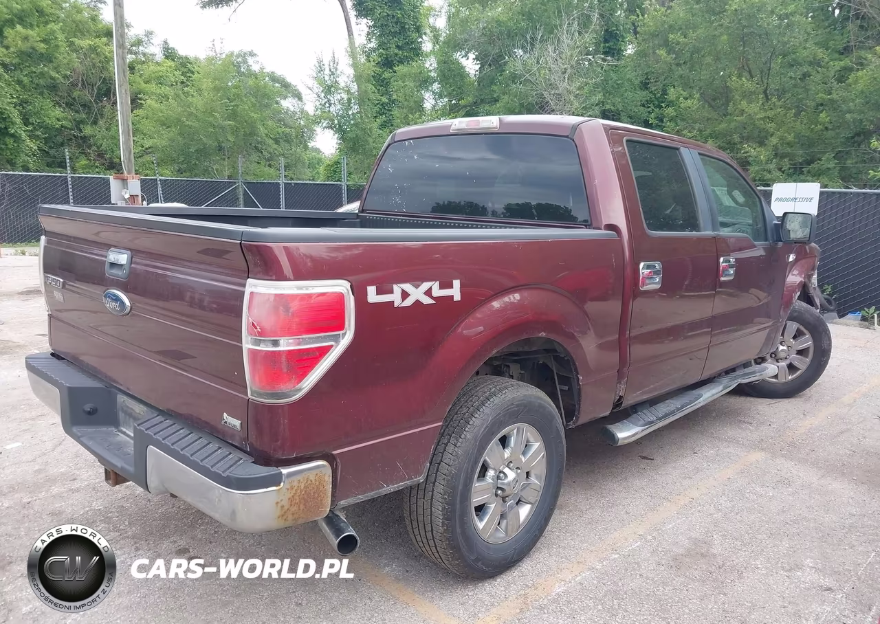 2010 Ford F-150 Fx4-Harley-Davidson-King Ranch-Lariat-Platinum-Xl-Xlt VIN:1FTFW1EV6AKE70560 - 4