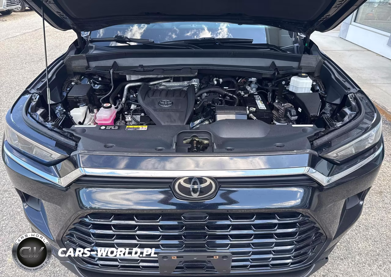 2024 Toyota Grand Highlander Xle VIN:5TDAAAB55RS007973 - 10