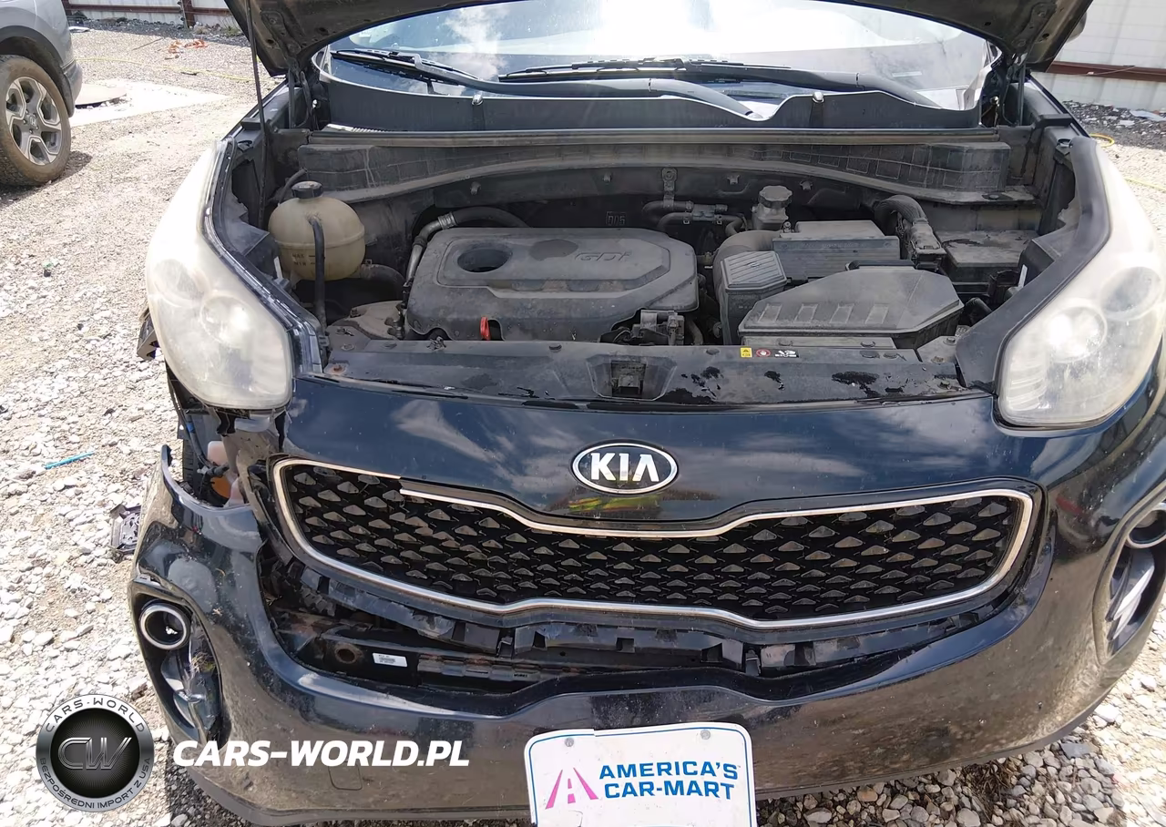 2017 Kia Sportage Lx VIN:KNDPMCAC2H7112847 - 10