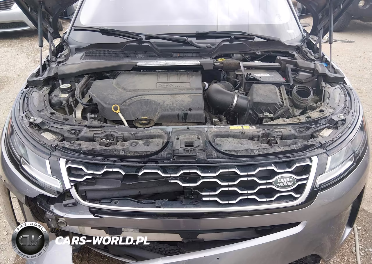 2020 Land Rover Range Rover Evoque S VIN:SALZJ2FX6LH056379 - 10