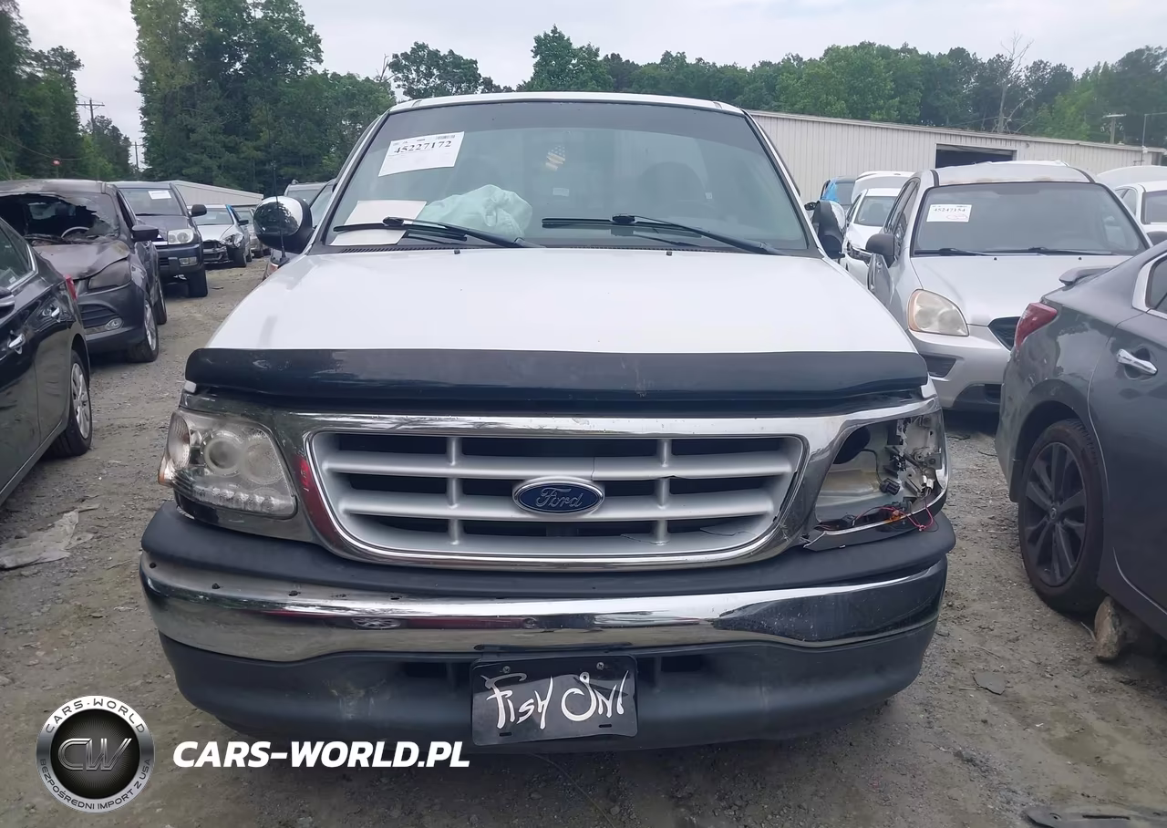 1999 Ford F-150 Work Series-Xl-Xlt VIN:1FTZF1729XNB68848 - 12