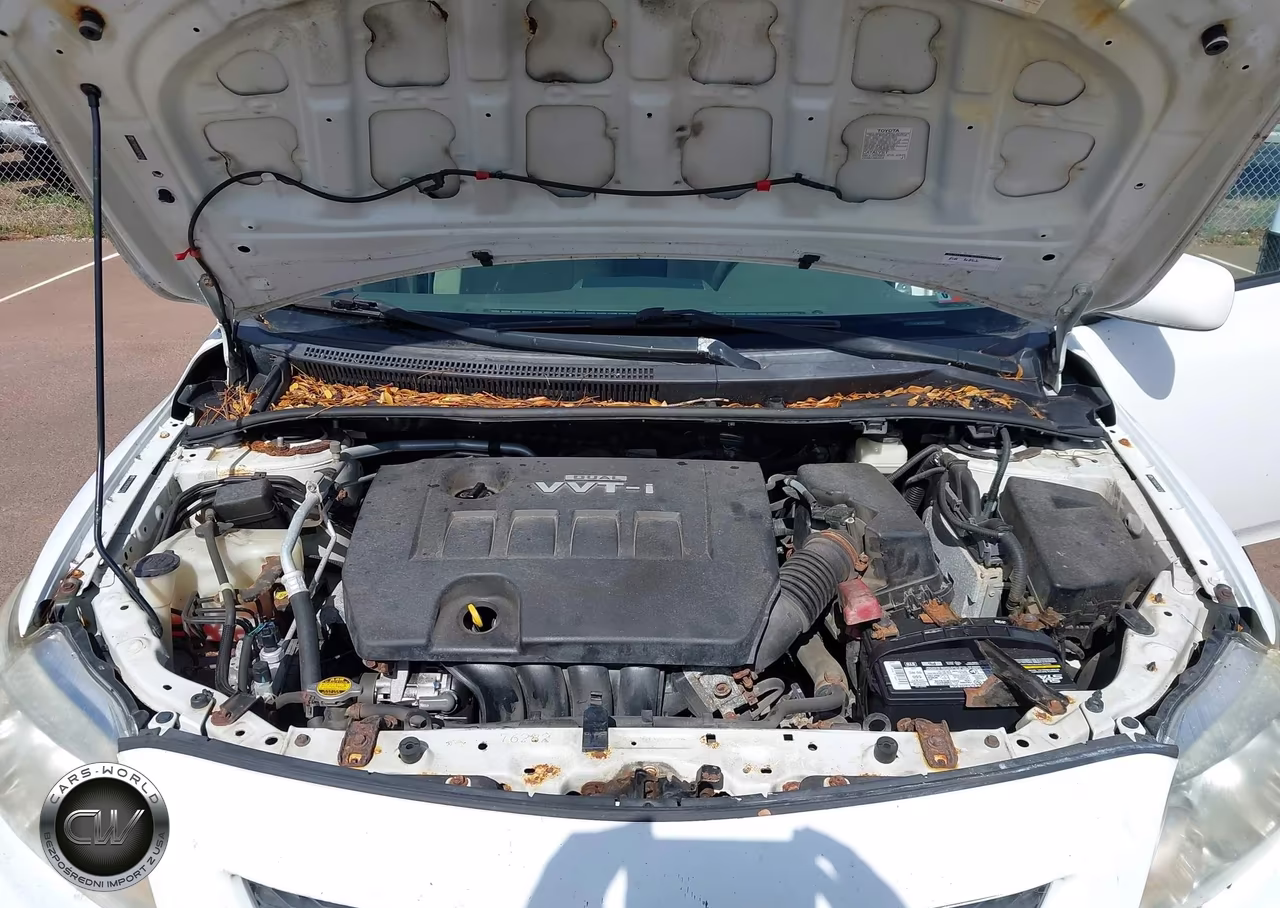 2009 Toyota Corolla Le VIN:2T1BU40E09C167784 - 10