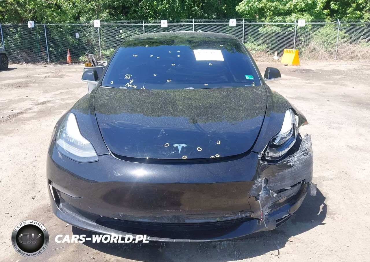 2020 Tesla Model 3 Standard Range Plus Rear-Wheel Drive-Standard Range Rear-Wheel Drive VIN:5YJ3E1EA4LF796571 - 10