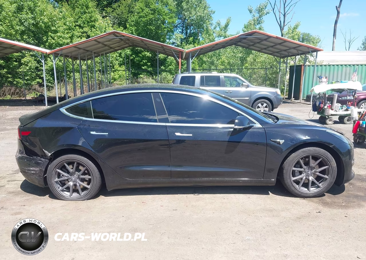 2020 Tesla Model 3 Standard Range Plus Rear-Wheel Drive-Standard Range Rear-Wheel Drive VIN:5YJ3E1EA4LF796571 - 11
