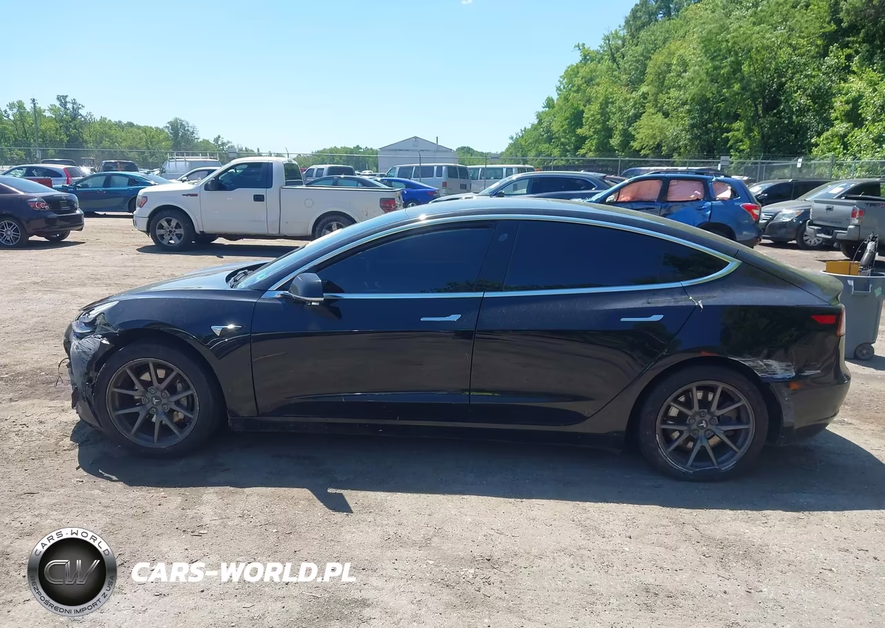 2020 Tesla Model 3 Standard Range Plus Rear-Wheel Drive-Standard Range Rear-Wheel Drive VIN:5YJ3E1EA4LF796571 - 12