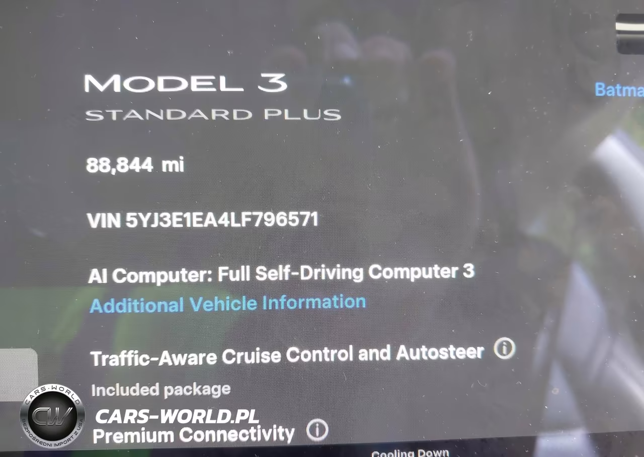 2020 Tesla Model 3 Standard Range Plus Rear-Wheel Drive-Standard Range Rear-Wheel Drive VIN:5YJ3E1EA4LF796571 - 13
