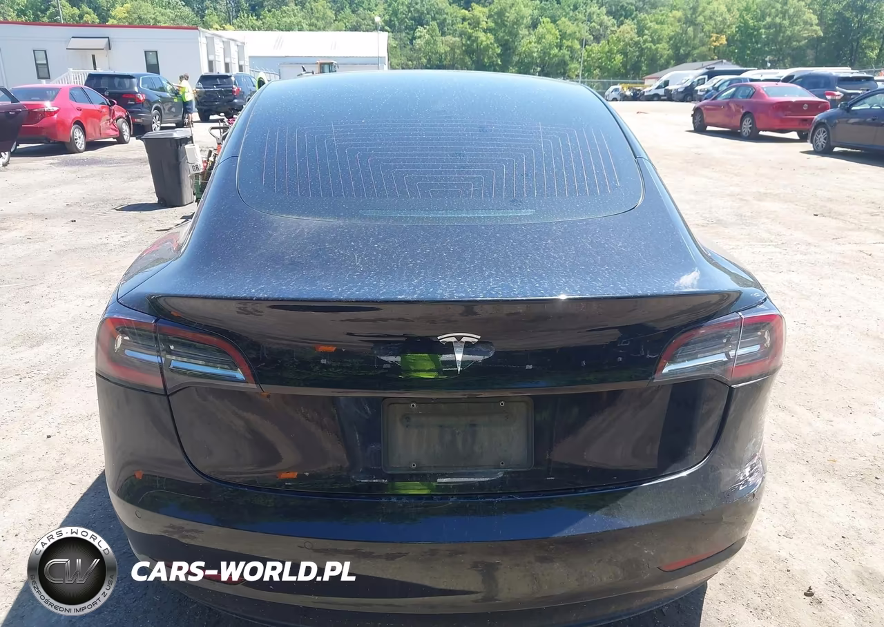 2020 Tesla Model 3 Standard Range Plus Rear-Wheel Drive-Standard Range Rear-Wheel Drive VIN:5YJ3E1EA4LF796571 - 14