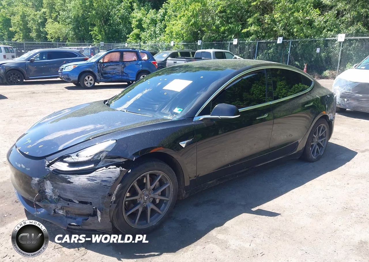 2020 Tesla Model 3 Standard Range Plus Rear-Wheel Drive-Standard Range Rear-Wheel Drive VIN:5YJ3E1EA4LF796571 - 2