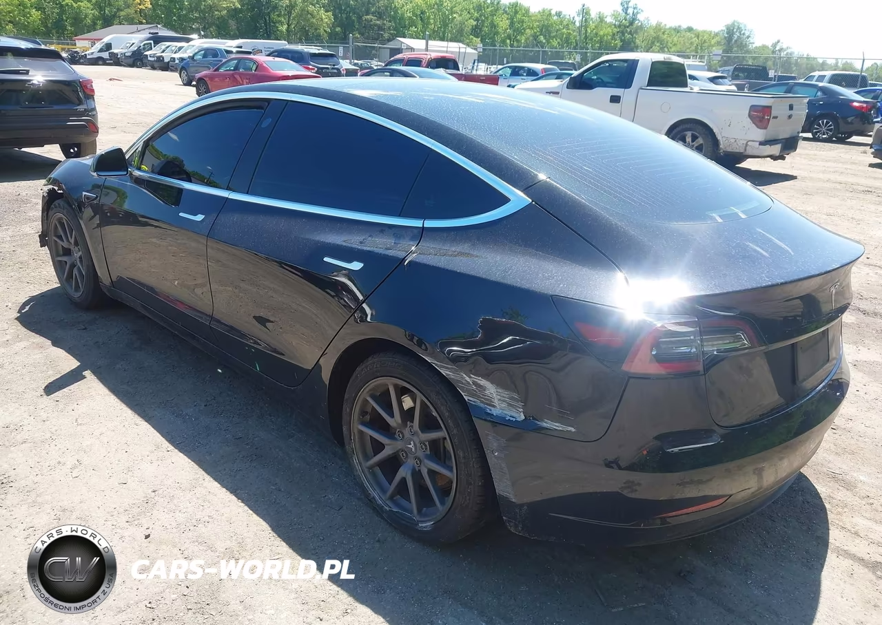 2020 Tesla Model 3 Standard Range Plus Rear-Wheel Drive-Standard Range Rear-Wheel Drive VIN:5YJ3E1EA4LF796571 - 3