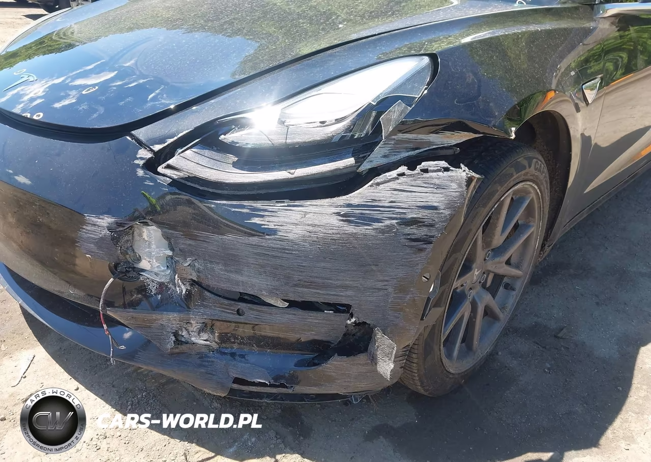 2020 Tesla Model 3 Standard Range Plus Rear-Wheel Drive-Standard Range Rear-Wheel Drive VIN:5YJ3E1EA4LF796571 - 6