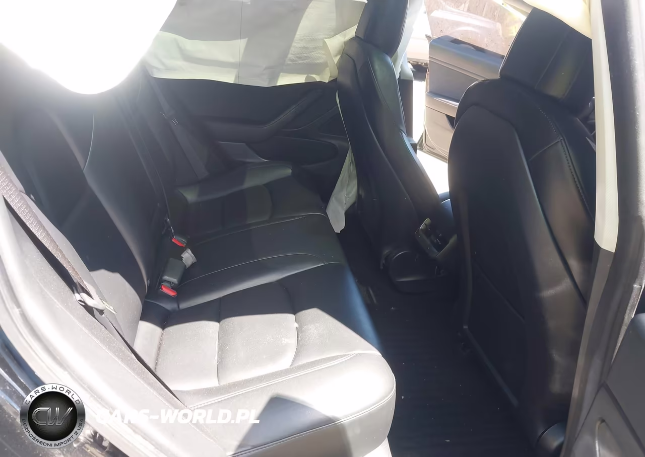 2020 Tesla Model 3 Standard Range Plus Rear-Wheel Drive-Standard Range Rear-Wheel Drive VIN:5YJ3E1EA4LF796571 - 8