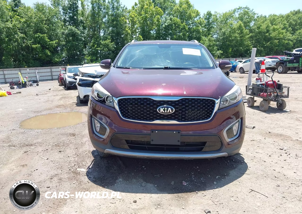 2017 Kia Sorento 2.0T Ex VIN:5XYPHDA13HG231714 - 12