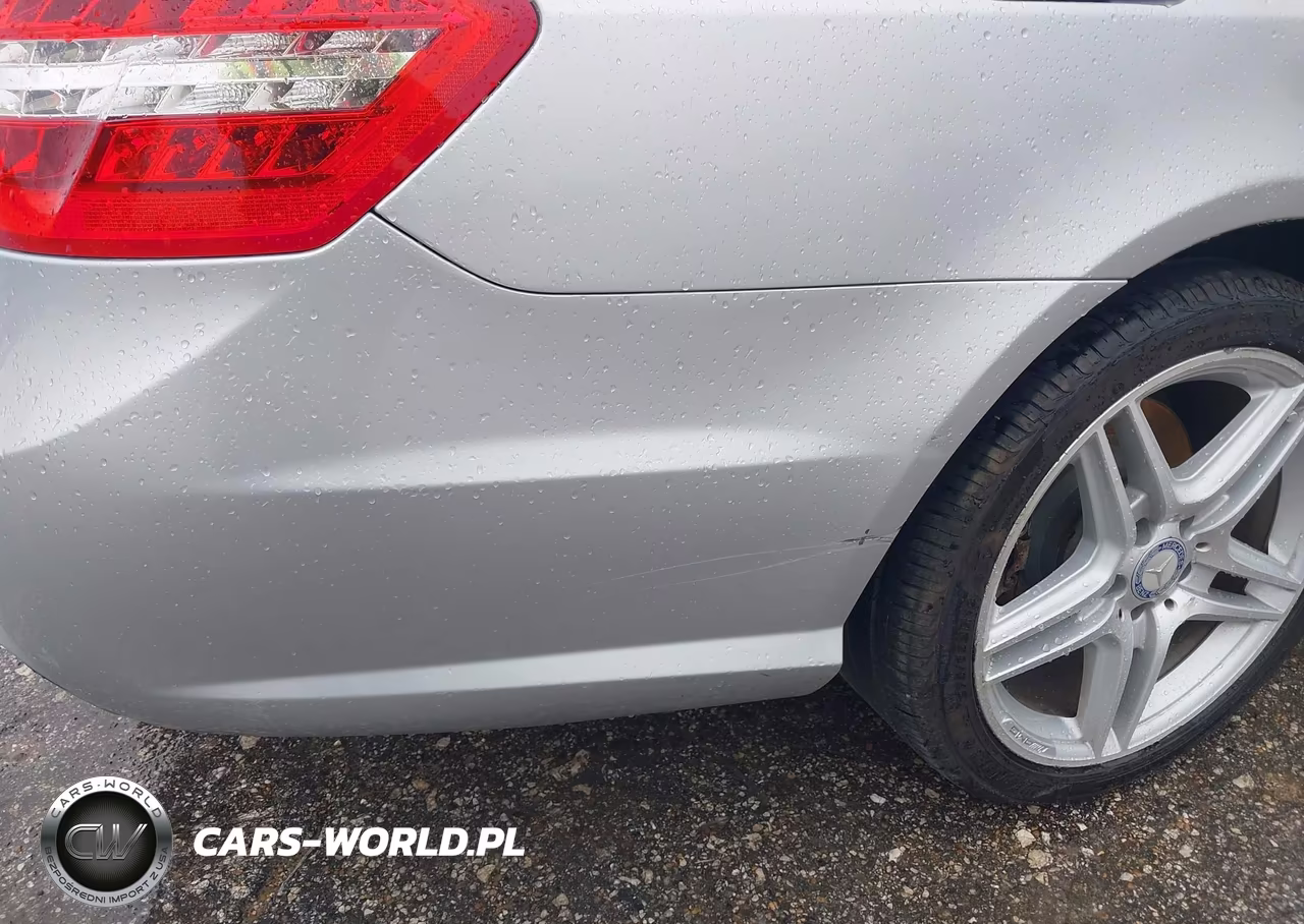 2010 Mercedes-Benz E 550 4Matic VIN:WDDHF9AB1AA234591 - 12