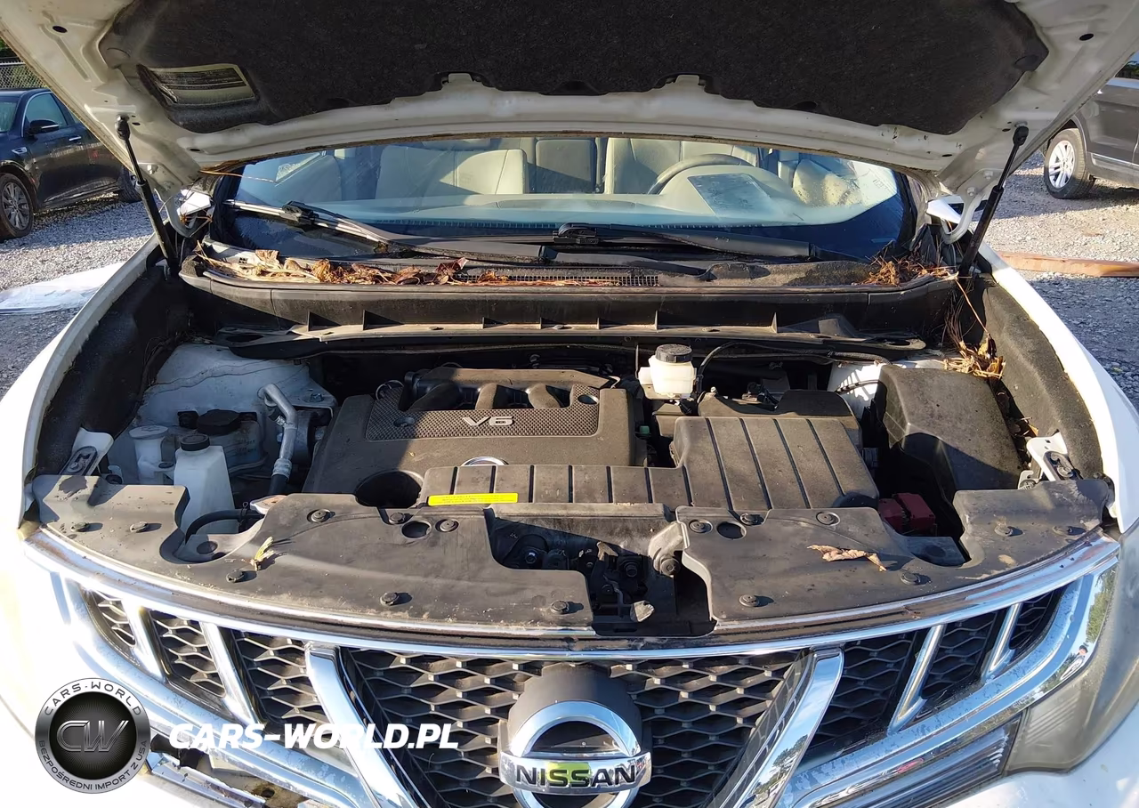 2011 Nissan Murano Sv VIN:JN8AZ1MU9BW059386 - 10