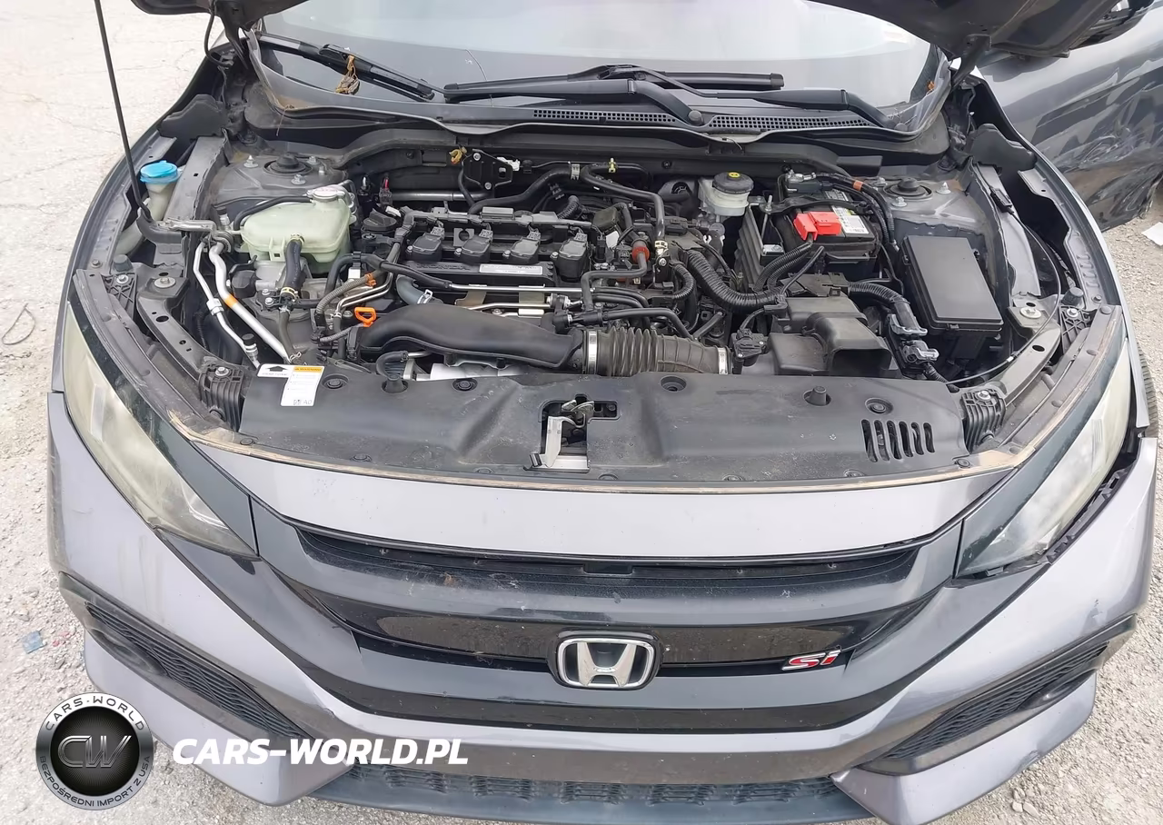 2017 Honda Civic Si VIN:2HGFC1E50HH704476 - 10