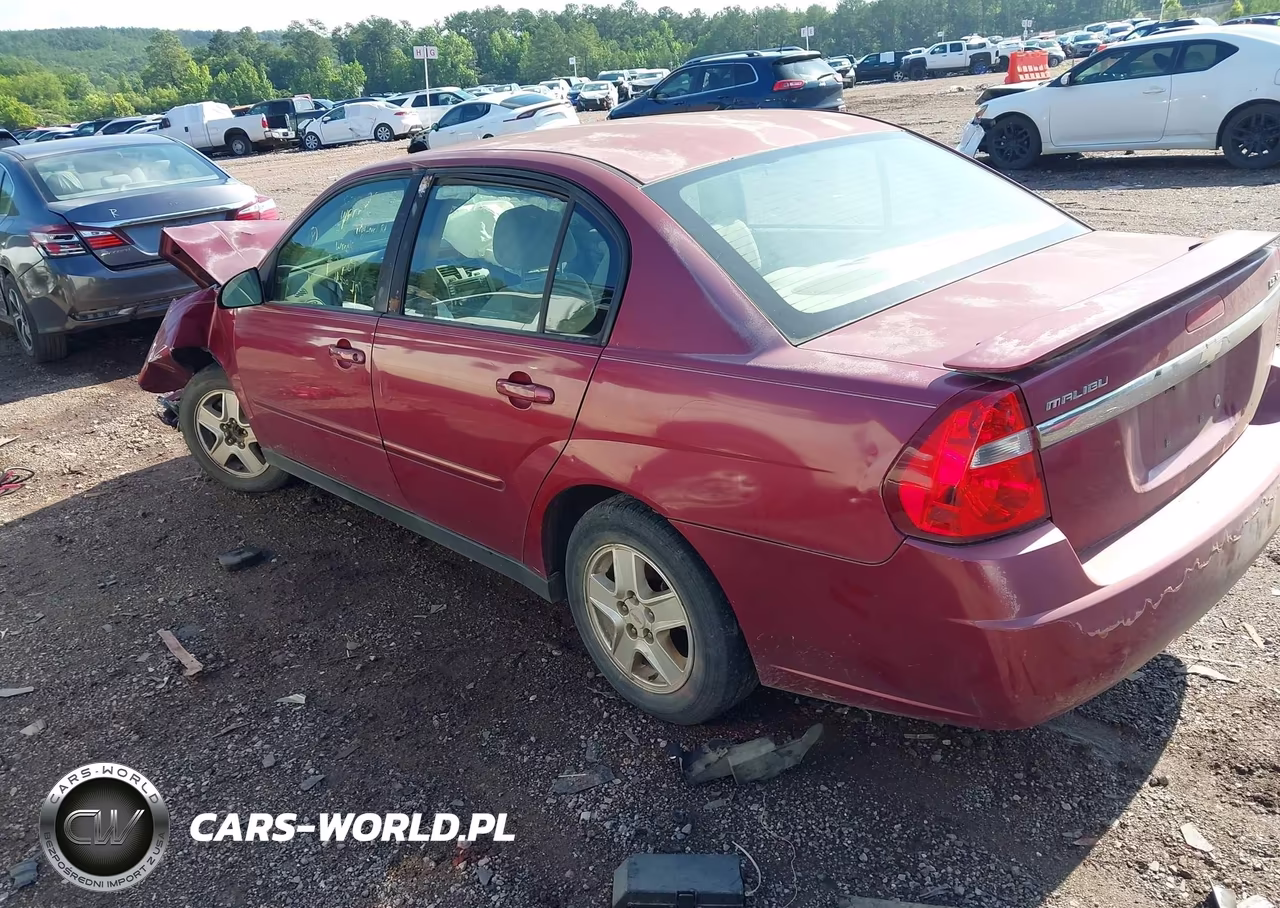 2004 Chevrolet Malibu Ls VIN:1G1ZT548X4F121271 - 3