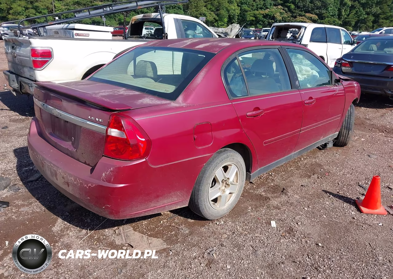 2004 Chevrolet Malibu Ls VIN:1G1ZT548X4F121271 - 4