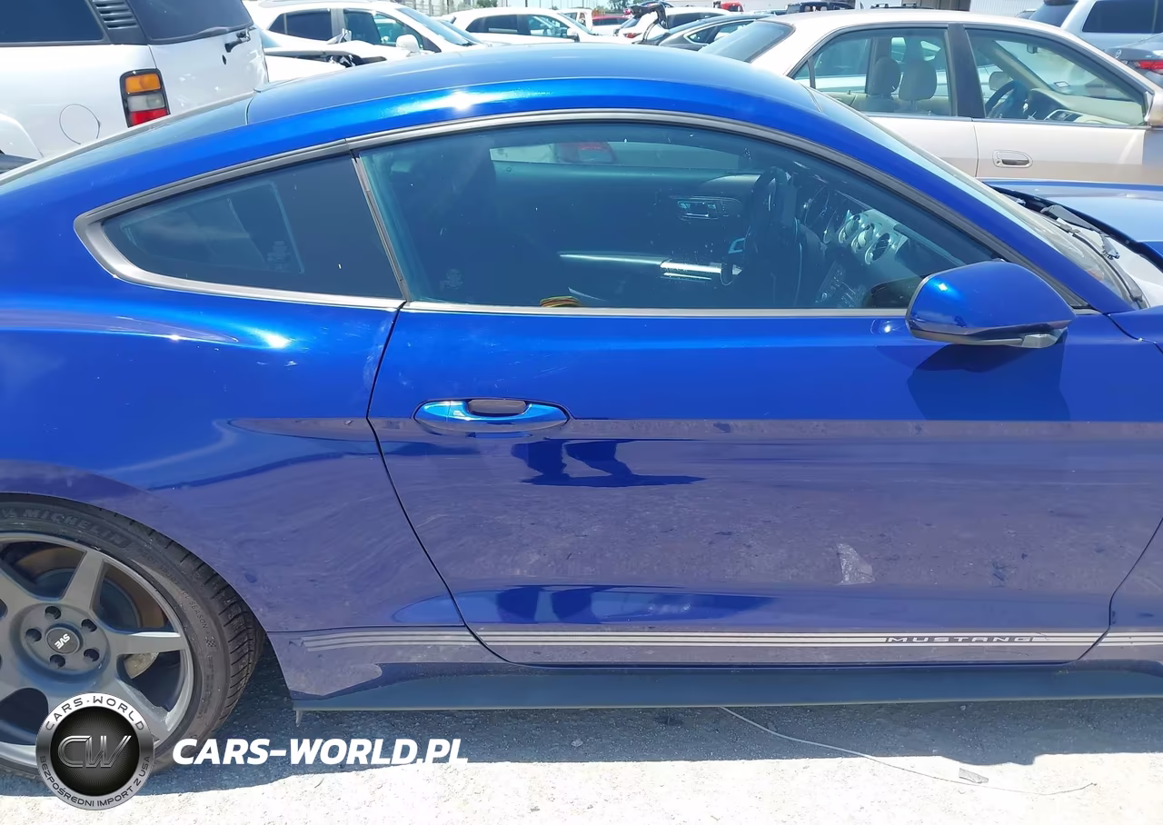 2016 Ford Mustang Ecoboost VIN:1FA6P8TH1G5260125 - 12