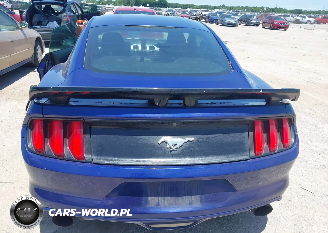 2016 Ford Mustang Ecoboost VIN:1FA6P8TH1G5260125 - 15