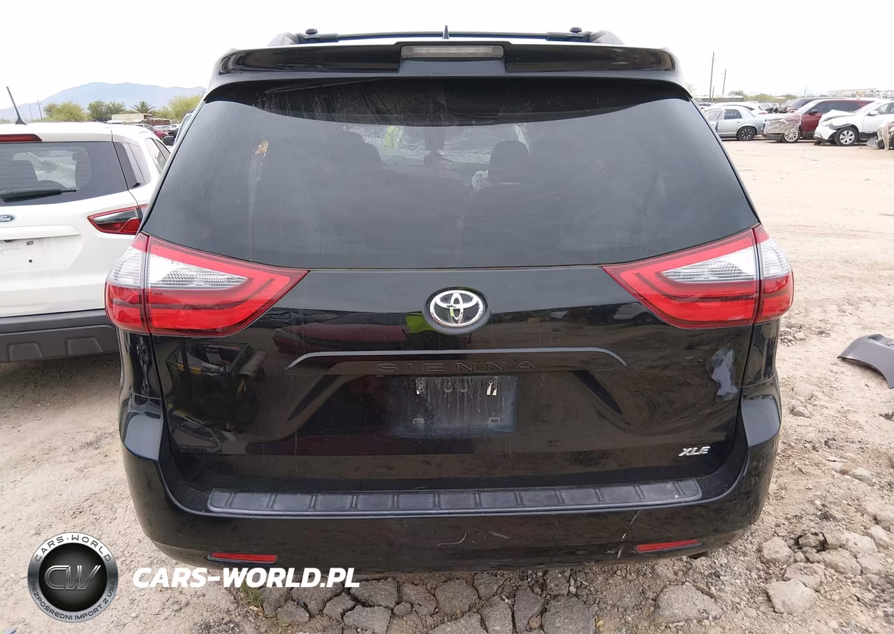2020 Toyota Sienna Xle VIN:5TDYZ3DC6LS071428 - 16
