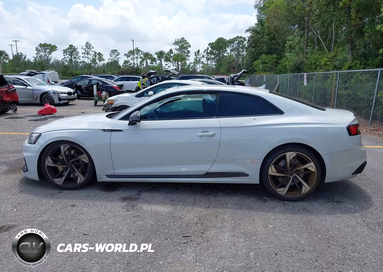 2019 Audi Rs 5 2.9T VIN:WUAPWAF52KA901635 - 14