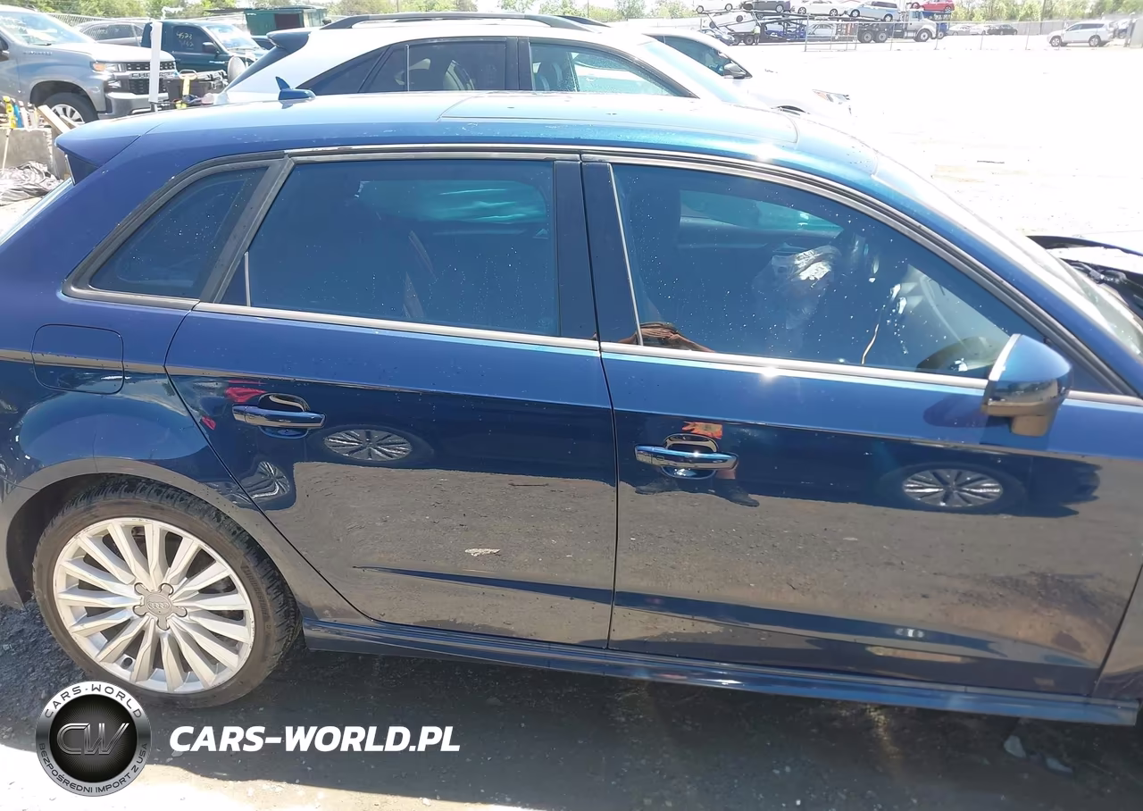 2017 Audi A3 E-Tron 1.4T Premium VIN:WAUUPBFF8HA091753 - 13