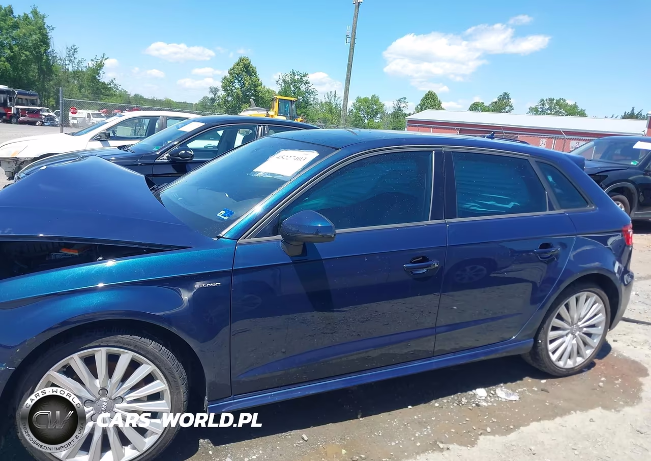 2017 Audi A3 E-Tron 1.4T Premium VIN:WAUUPBFF8HA091753 - 14