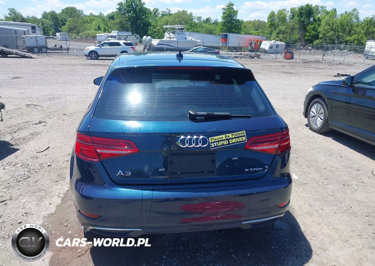 2017 Audi A3 E-Tron 1.4T Premium VIN:WAUUPBFF8HA091753 - 16