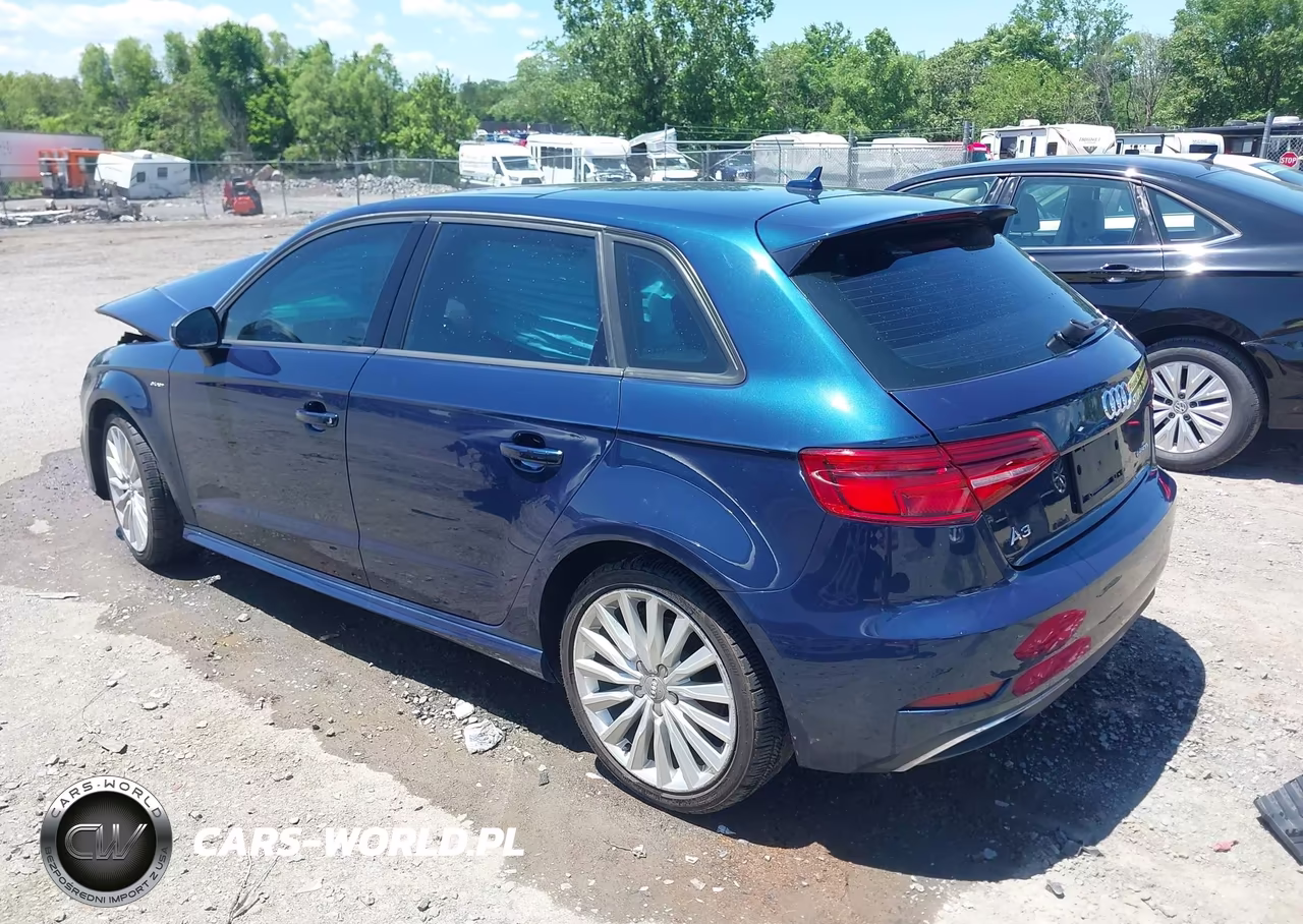 2017 Audi A3 E-Tron 1.4T Premium VIN:WAUUPBFF8HA091753 - 3