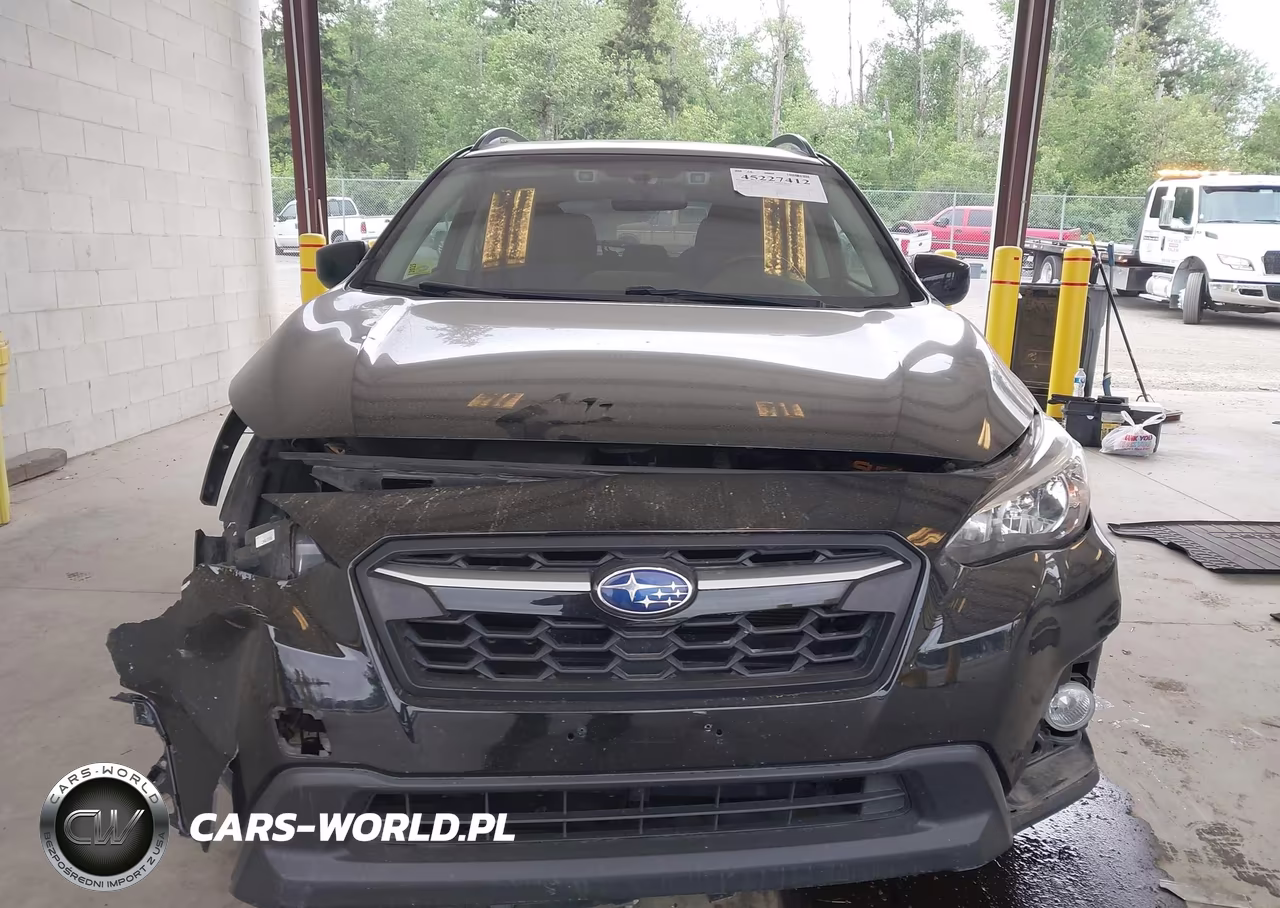 2019 Subaru Crosstrek 2.0I Premium VIN:JF2GTAEC7KH317665 - 12