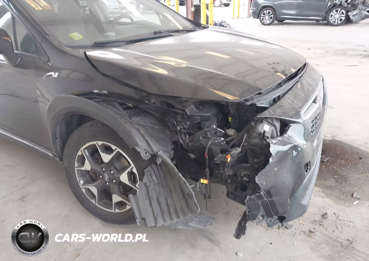 2019 Subaru Crosstrek 2.0I Premium VIN:JF2GTAEC7KH317665 - 6