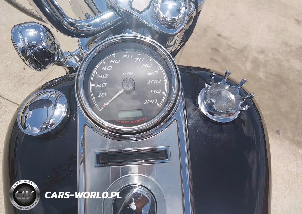 2021 Harley-Davidson Flhr VIN:1HD1FBC15MB665116 - 7
